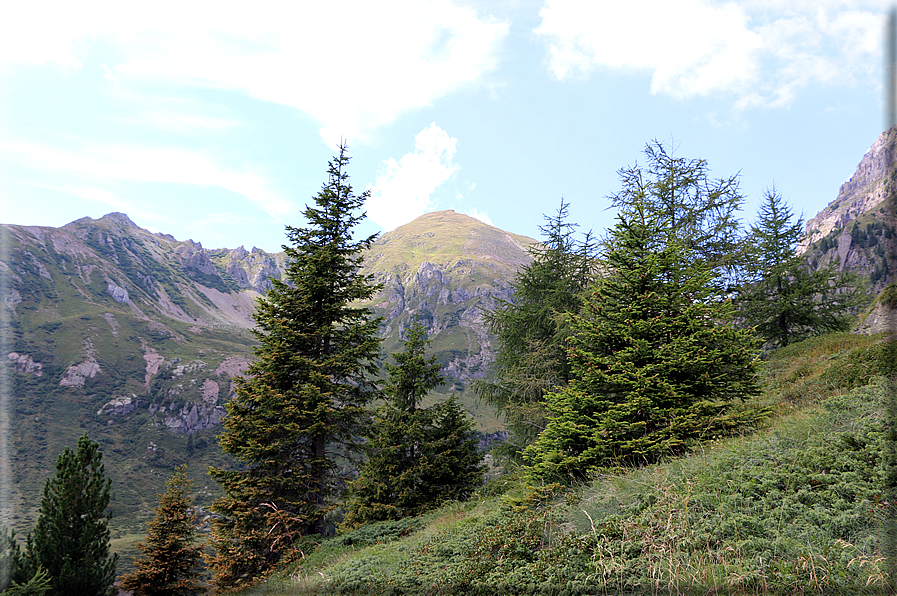 foto Valle del Montalon